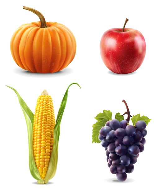 Frutta autunnale set isolato sfondo bianco elementi di ringraziamento vettoriale illustrazione autunnale