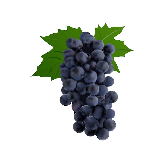 frutta d'uva Illustrazione in fetta su sfondo bianco vol 01