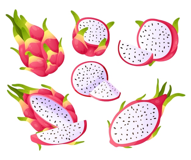 Frutta del drago Pezzi di pitaya del fumetto Prodotti esotici dolci Mezzo e intero pitahaya maturo Ingredienti freschi e sani dessert biologici Delizioso cibo succoso Set di piante asiatiche tropicali isolate vettoriale