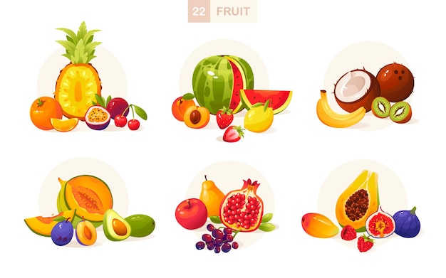 Frutta e bacche illustrazione vettoriale in stile cartone animato Frutta estiva succosa Grande set di frutta