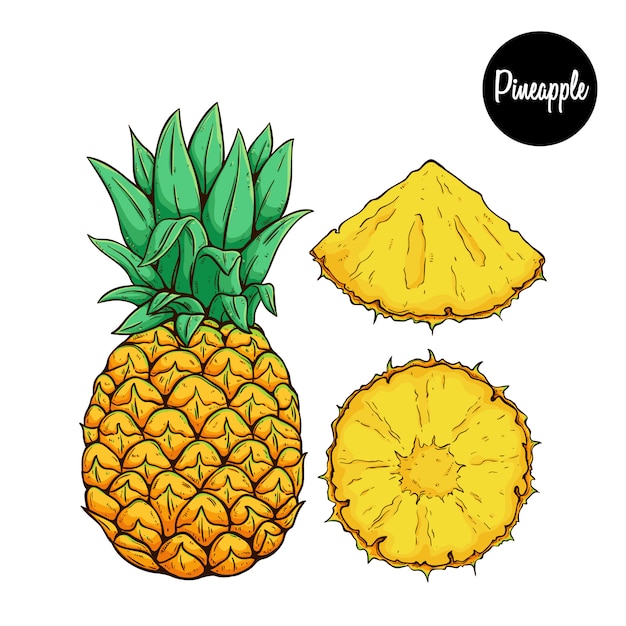 frutta fresca di ananas con schizzo colorato o stile disegnato a mano