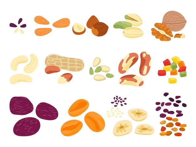 Frutta secca noci e semi Mix di snack croccanti varie noci alimentari naturali e semi di girasole Set vettoriale decente di diversi chip mandorle pistacchio cereali