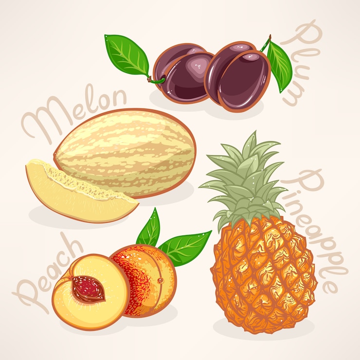 Vettore frutti esotici