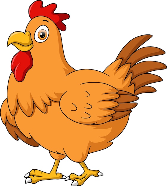 Fumetto sveglio della gallina del pollo su fondo bianco