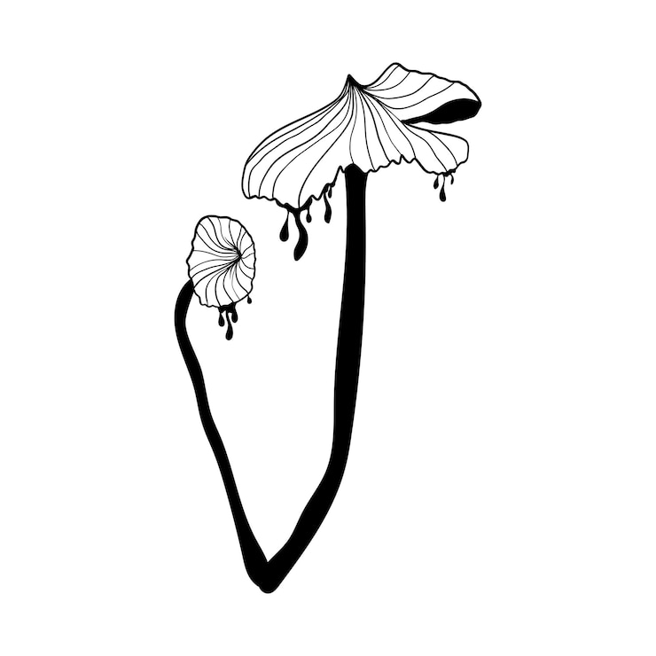 Vettore funghi mistici in silhouette in stile doodle funghi fantastici stravaganti