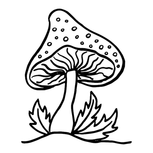 Funghi velenosi della foresta non commestibili dell'agarico di mosca schizzo illustrazione vettoriale isolata