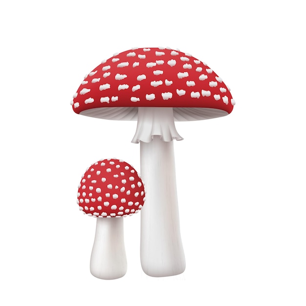 Fungo Amanita Muscaria autunnale realistico vola agarico Funghi con cappuccio rosso Simbolo dell'autunno della foresta