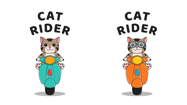 Funny Cat Ride a Scooter