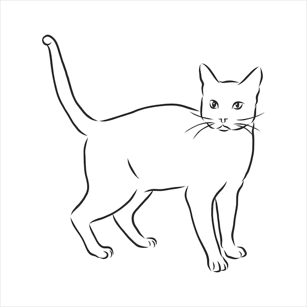 Gatti, linee nere. Disegno lineare. Gatti, illustrazione vettoriale.cat