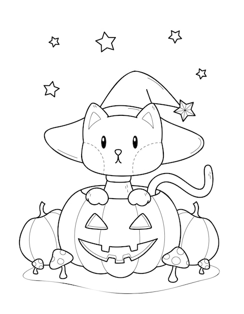 gattino in una zucca