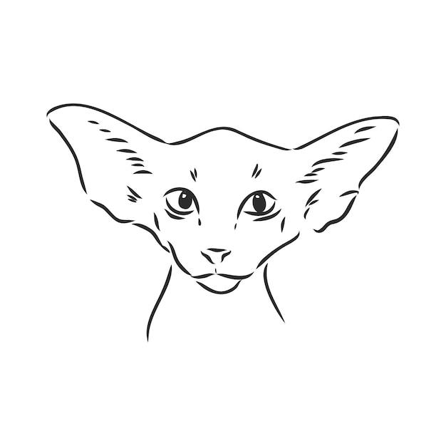 Gatto a pelo corto orientale Stampa in stile disegnato a mano Illustrazione vettoriale gatto orientale vettoriale