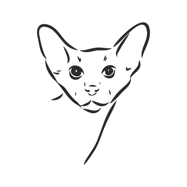 Gatto a pelo corto orientale Stampa in stile disegnato a mano Illustrazione vettoriale gatto orientale vettoriale