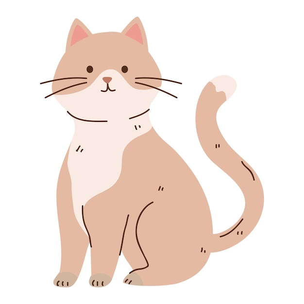 gatto beige e bianco