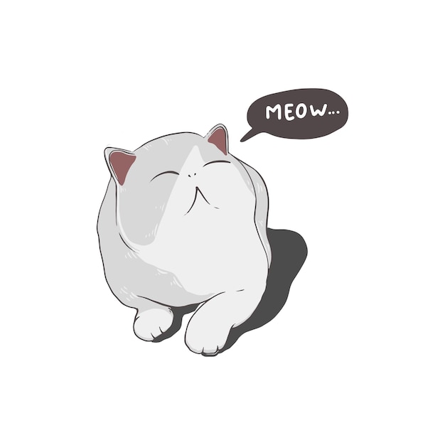 gatto carino