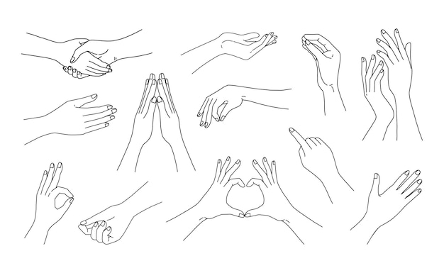 Gesti delle mani della donna Doodle linea braccia femminili schizzi grafici per post sui social media e pubblicità cosmetica di bellezza Stretta di mano e simbolo di amore del dito Insieme di parti del corpo umano della siluetta isolata di vettore