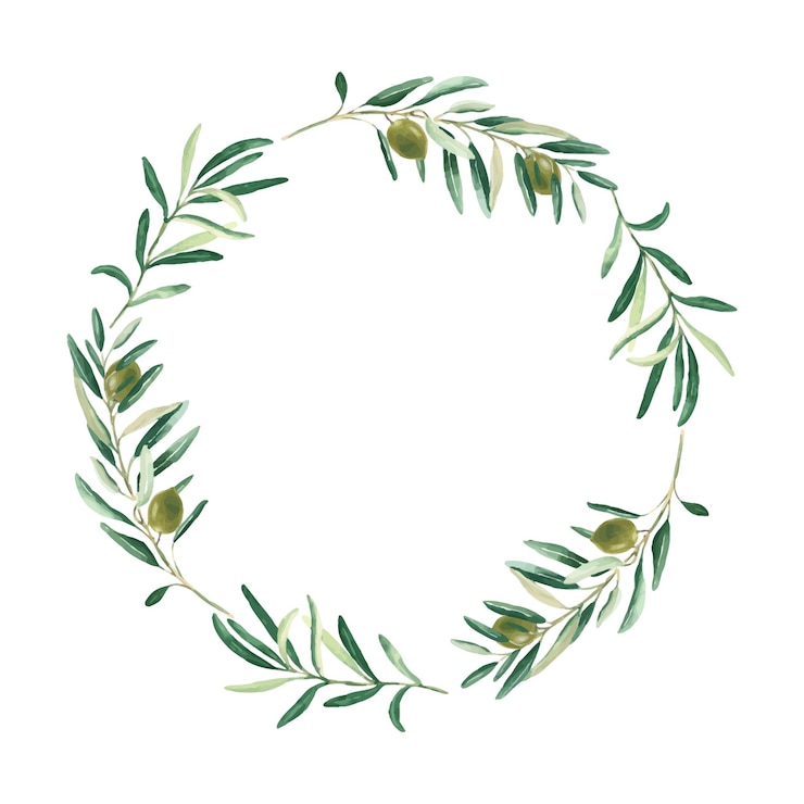 Vettore ghirlanda di olive in acquerello con olive verdi isolate su sfondo bianco disegnata a mano botanica