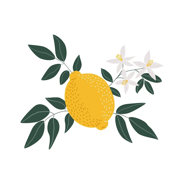 Giallo limone con foglie e fiori illustrazione isolata su sfondo bianco per il disegno floreale