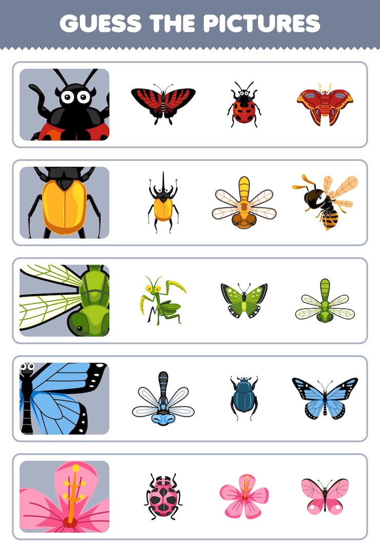 Vettore gioco educativo per bambini indovina le immagini corrette del simpatico cartone animato coccinella scarabeo libellula farfalla fiore stampabile foglio di lavoro bug