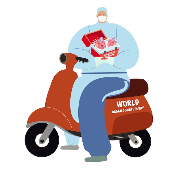 Giorno della donazione di organi Dottore vettoriale piatto in uniforme medico su uno scooter con una scatola medica per gli organi