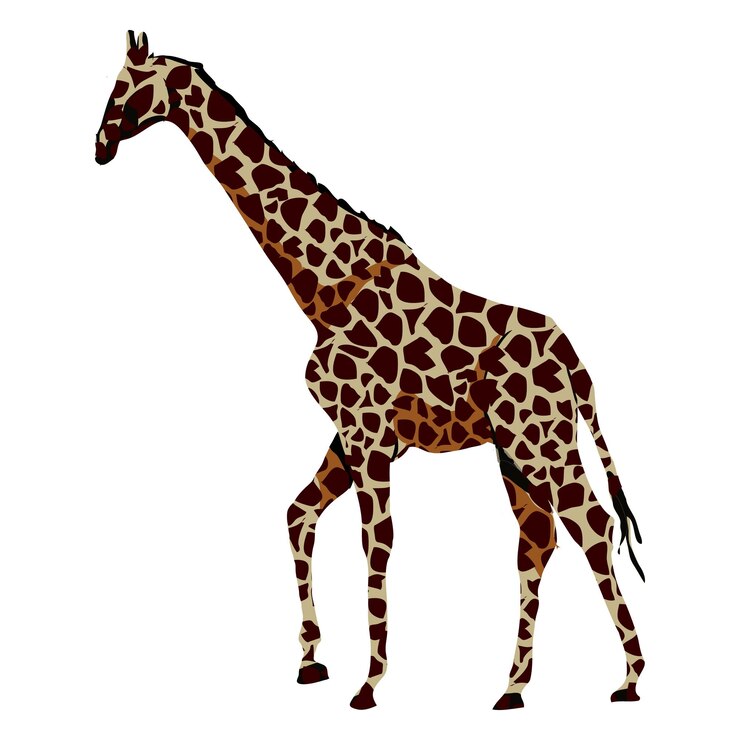Vettore giraffa dibujo giraffe giraffa clip del cartone animato isolato su sfondo trasparente