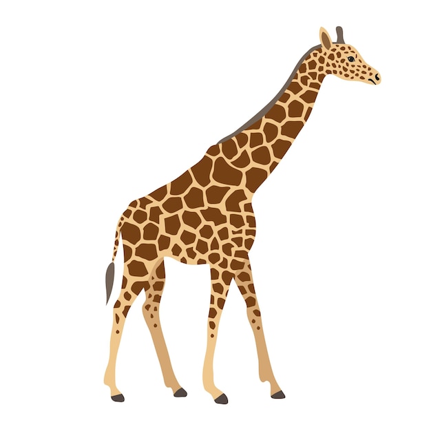 Giraffe piatta