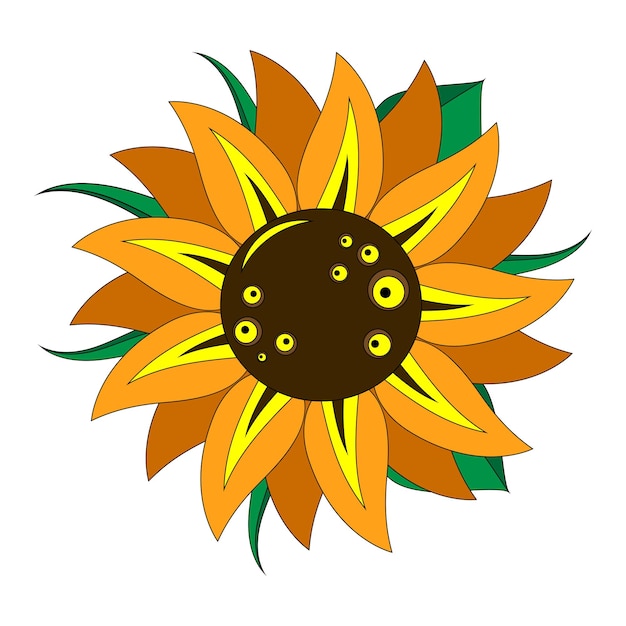 Girasole con foglie. Illustrazione a colori vettoriale.