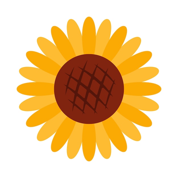 Girasole giallo Vettore clipart botanico Illustrazione nel nucleo del cottage