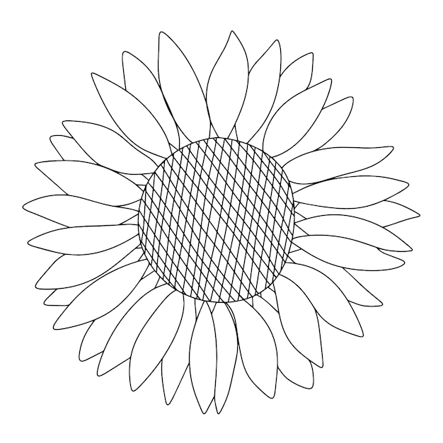 Girasole in stile scarabocchio. Illustrazione vettoriale di tiraggio della mano