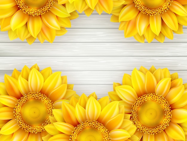 girasoli su fondo in legno.