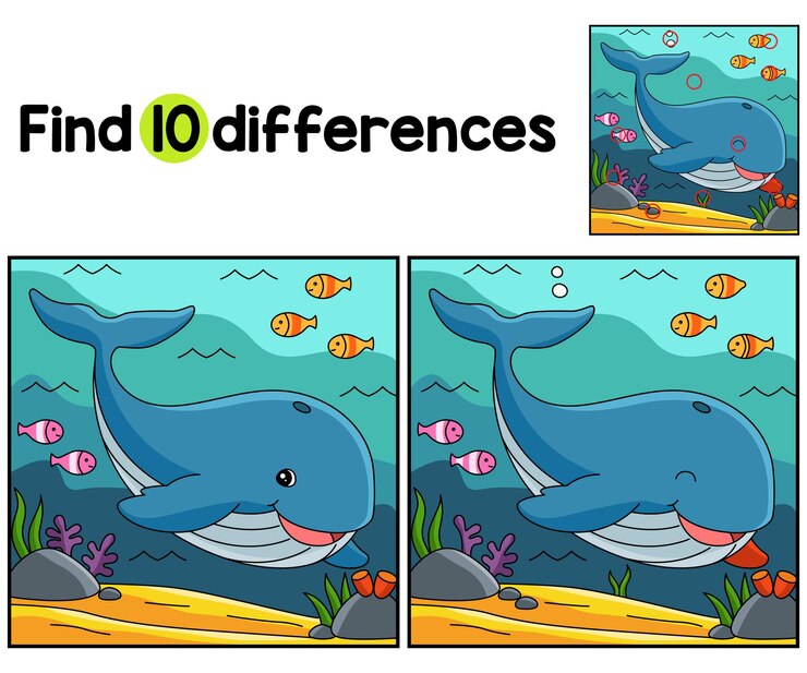 Vettore gli animali balena trovano le differenze