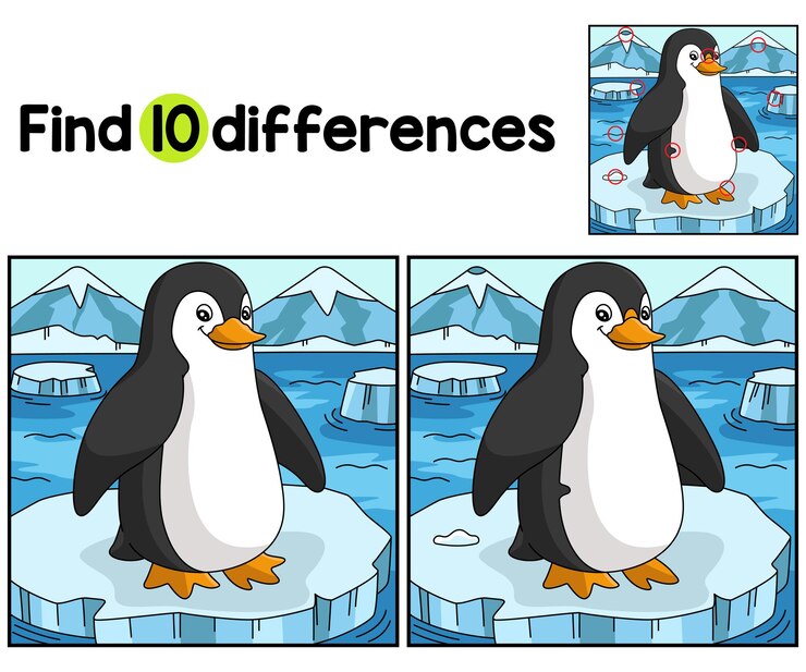 Vettore gli animali pinguini trovano le differenze