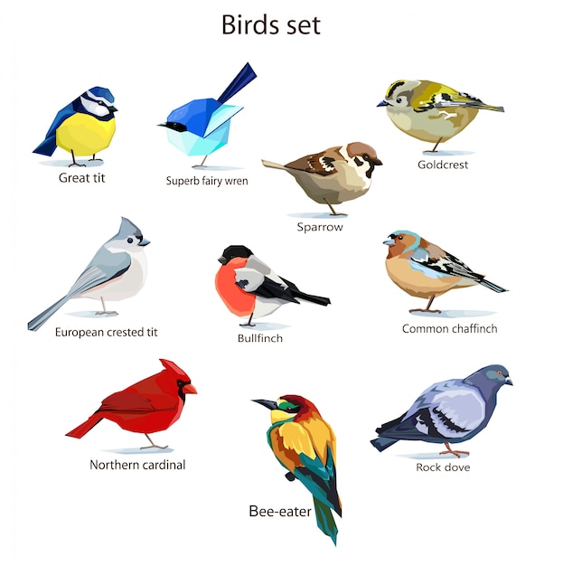 Gli uccelli hanno messo l'illustrazione