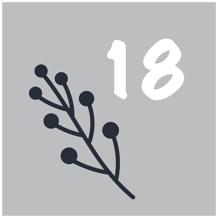 Vettore gnomi noliday calendario dell'avvento isolato illustrazione vettoriale