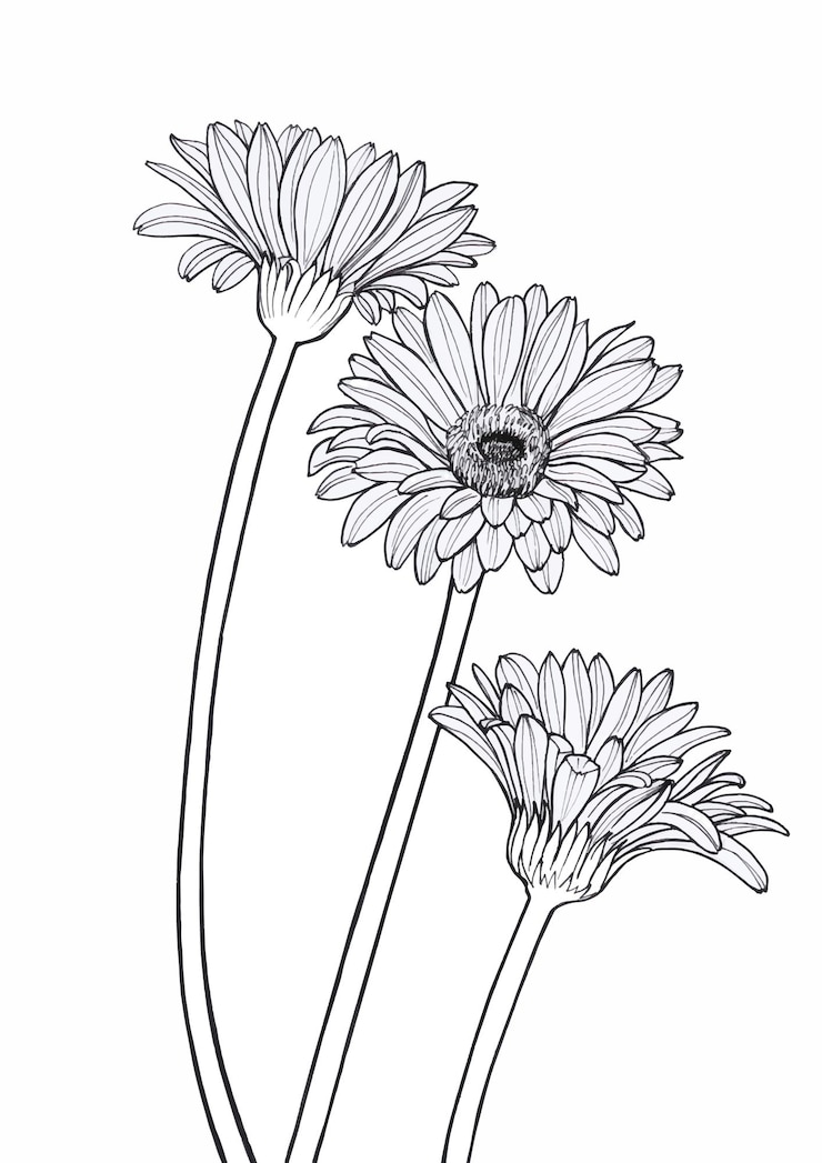 Vettore grafica e illustrazioni