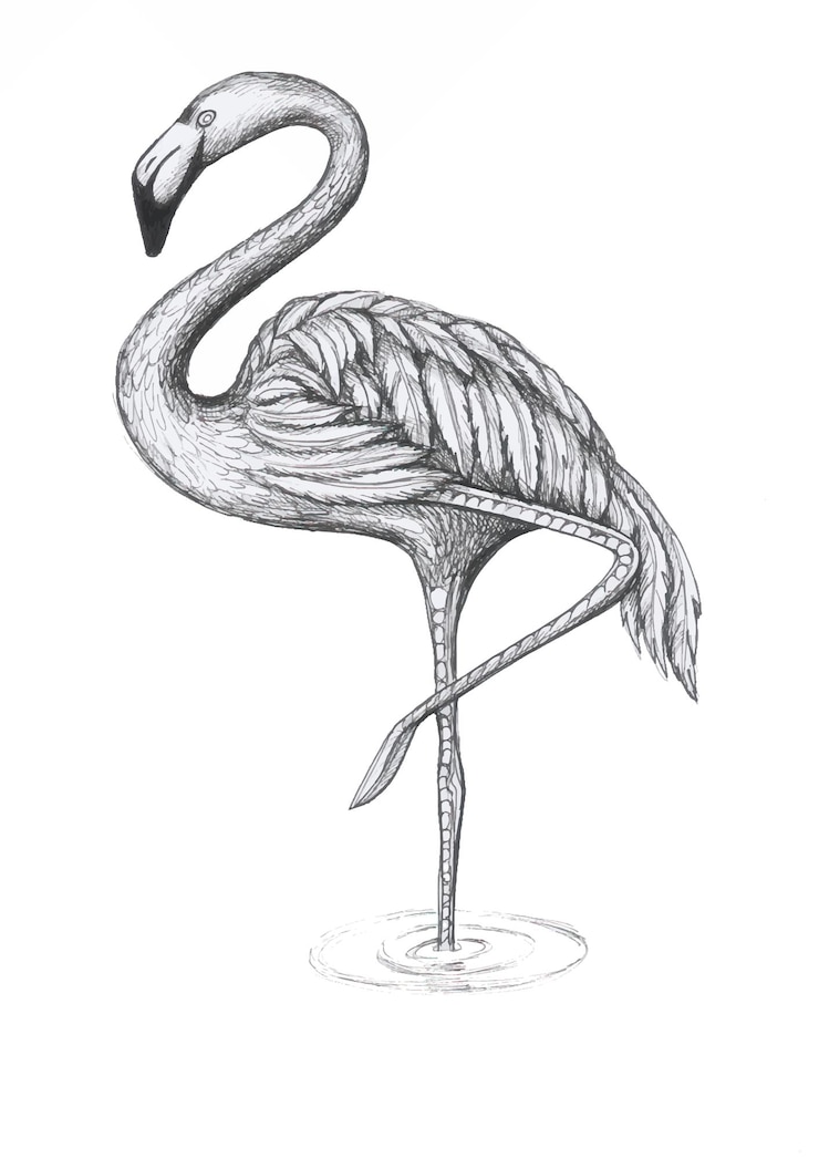 Vettore grafica e illustrazioni