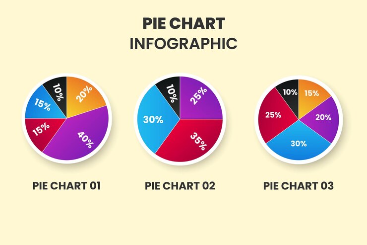 Vettore grafico a torta business infographic design
