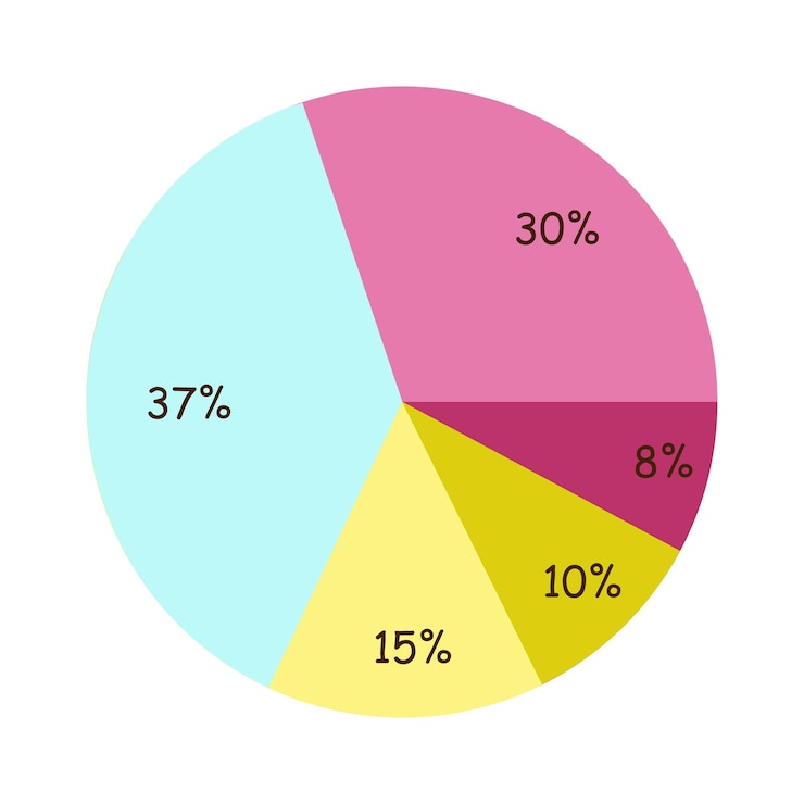 Vettore grafico a torta percentuale colorato diagramma circolare illustrazione vettoriale infografica modello di progettazione