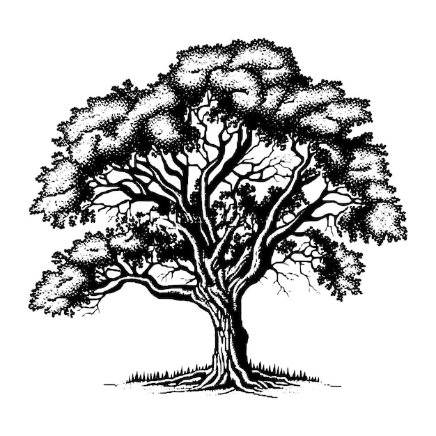 Grande albero disegnato a mano