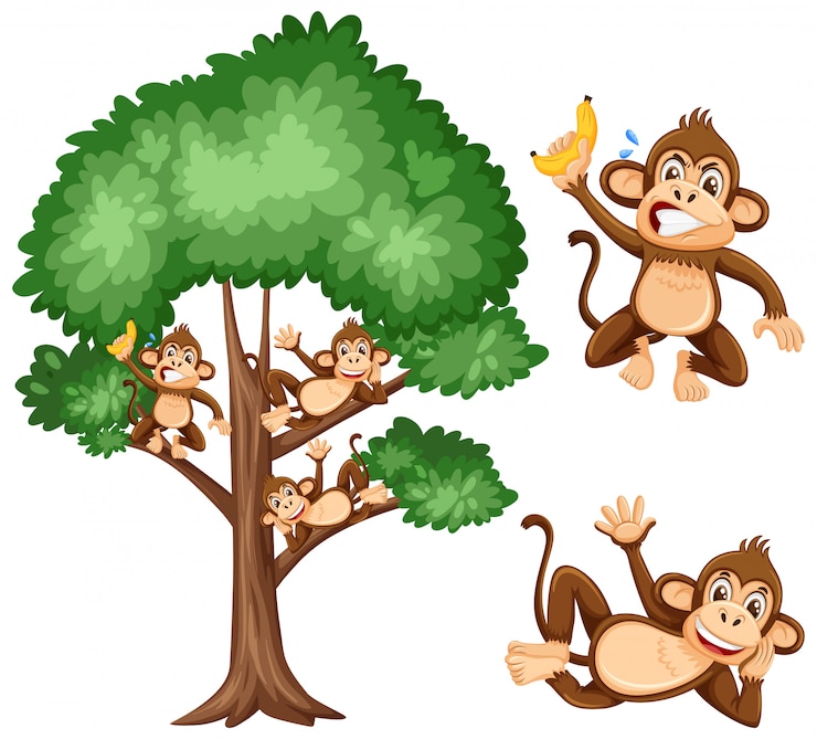 Vettore grande albero e scimmie birichine