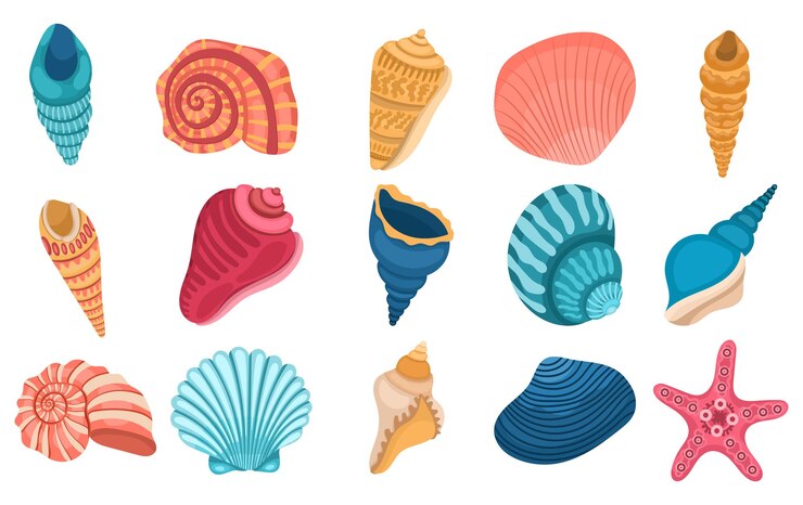 Vettore grande collezione di diverse conchiglie su uno sfondo bianco
