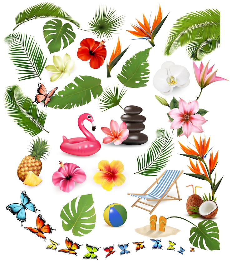 Vettore grande collezione di foglie esotiche e tropicali e fiori di piante e forniture per vacanze di viaggio vettore