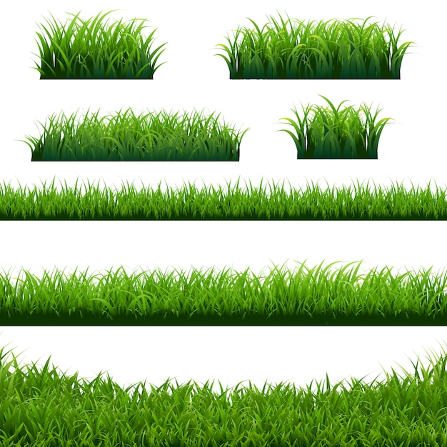 Grande insieme dei bordi dell'erba verde