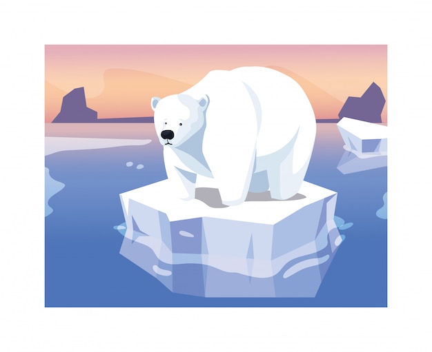 Grande orso polare su una banchisa alla deriva