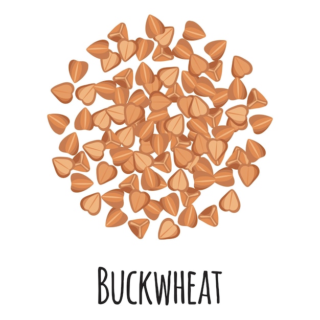 Grano saraceno per la progettazione, l'etichetta e l'imballaggio del mercato agricolo modello. Super alimento biologico con proteine energetiche naturali. Illustrazione isolata del fumetto di vettore.