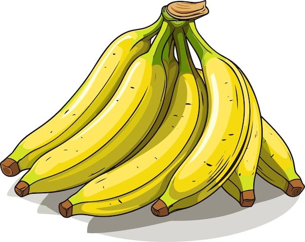 Grappolo di banane gialle mature isolate su sfondo bianco Immagine a colori vettoriale