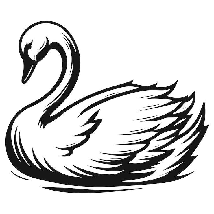 Vettore grazioso cigno_d