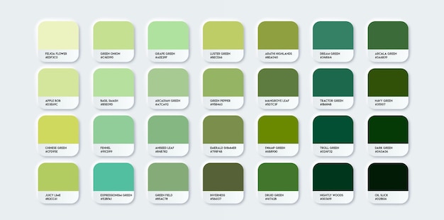 Green Color Guide Palette con nomi di colori Catalogo Esemplari verdi con codici RGB HEX e nomi