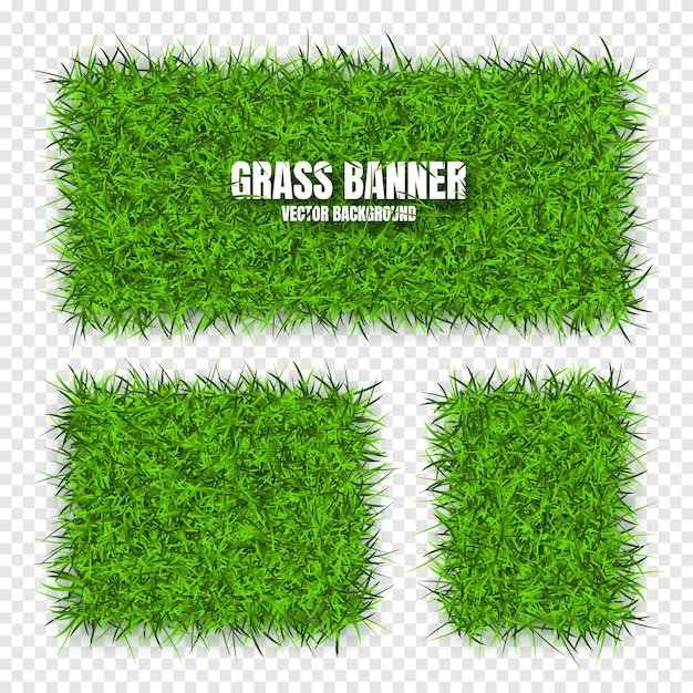 Green grass banners background field meadow texture grassy landscape organic bio eco and natural