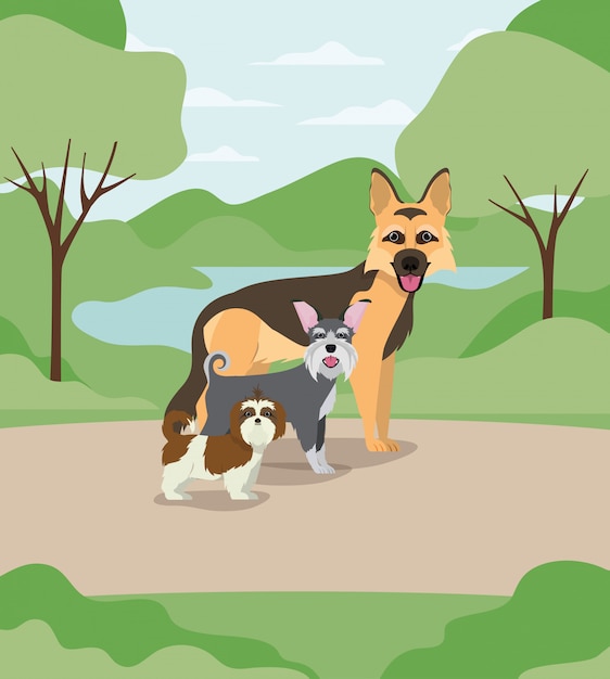 Gruppo di cani animali domestici nei personaggi del campo