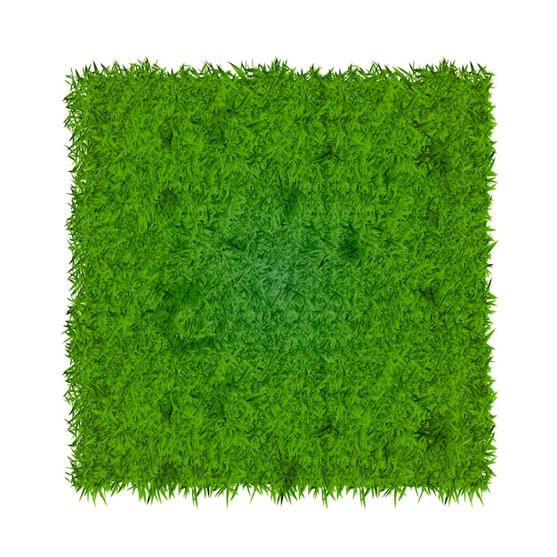 Guarda da vicino l'erba verde fresca